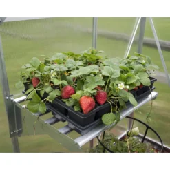 Palram Canopia Heavy Duty Shelf Kit 18 Palram Canopia Heavy Duty Shelf Kit -NON Outdoor Shop 12810967 1044833195030729