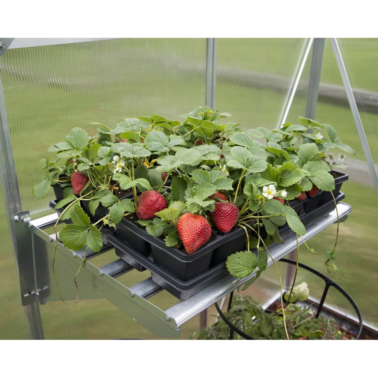 Palram Canopia Heavy Duty Shelf Kit 9 Palram Canopia Heavy Duty Shelf Kit - Image 7