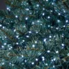600 LED String Christmas Tree Lights - Bright White 2 600 LED String Christmas Tree Lights - Bright White -NON Outdoor Shop 12838246 1455003463873036