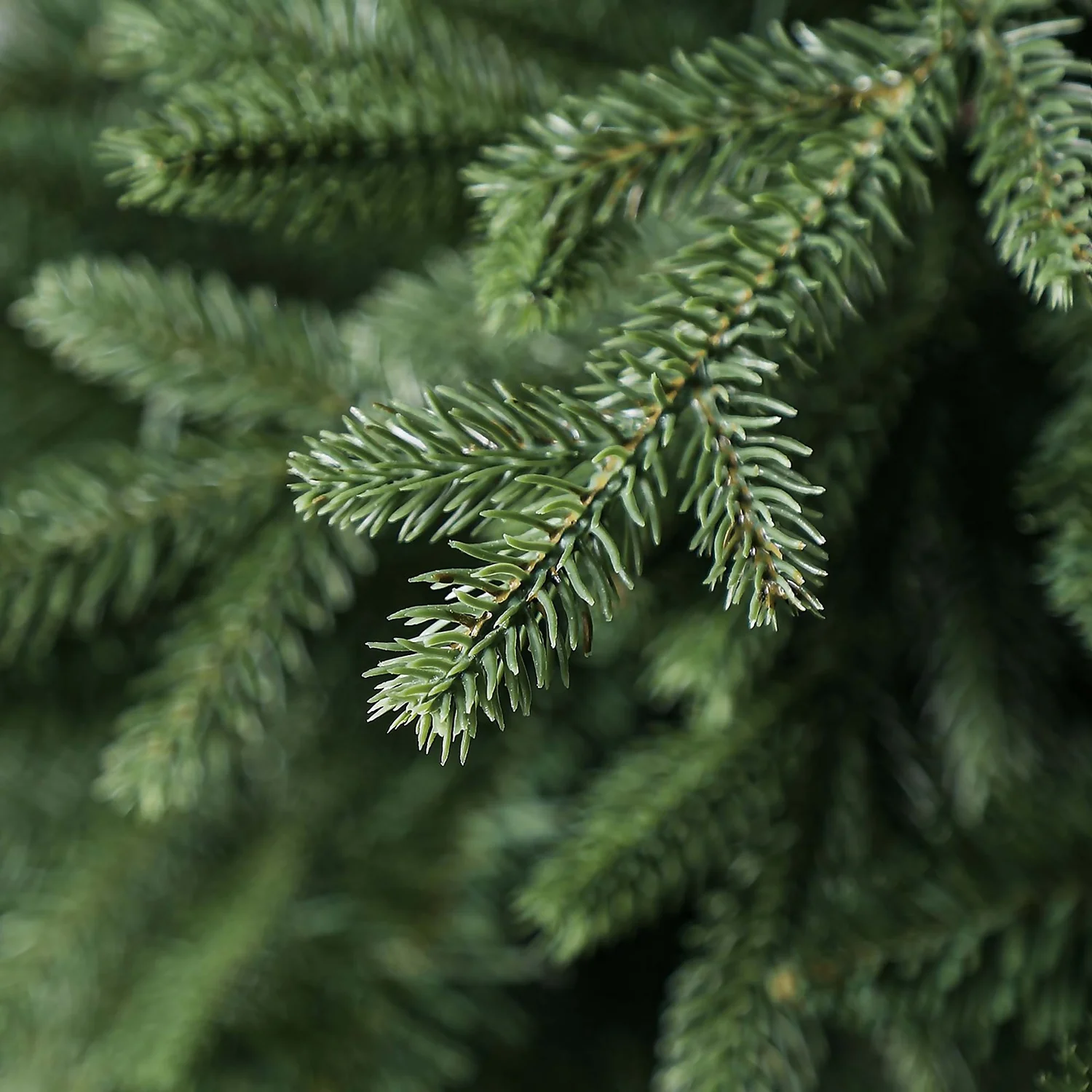 7.5ft Norway Spruce Artificial Christmas Tree 5 7.5ft Norway Spruce Artificial Christmas Tree - Image 3