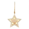 Hanging Star Christmas Tree Decoration (Battery Operated) -NON Outdoor Shop 12969361 6574884460263372
